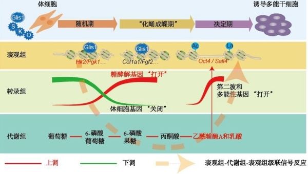 信息安全(图1)