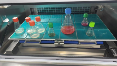 1757312083615014716.png 图片.png