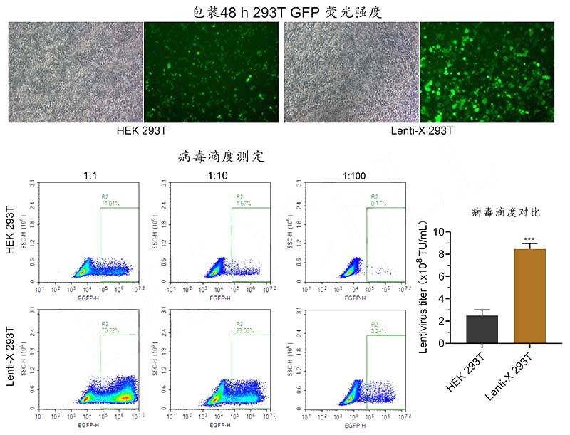 1761712082572065783.jpg 1761712082572065783.jpg