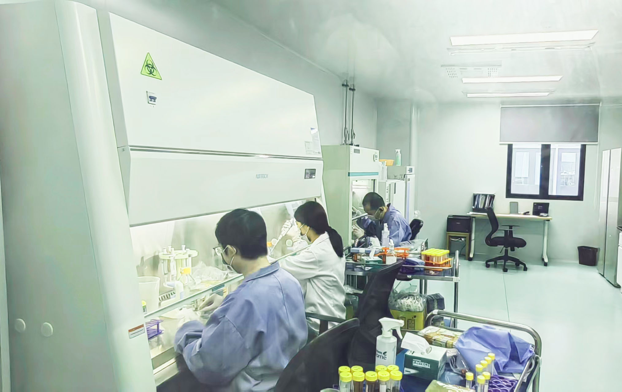 1765335923044019227.jpg 1765335923044019227.jpg