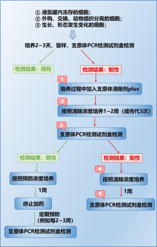 1774250493299050744.png 图片.png